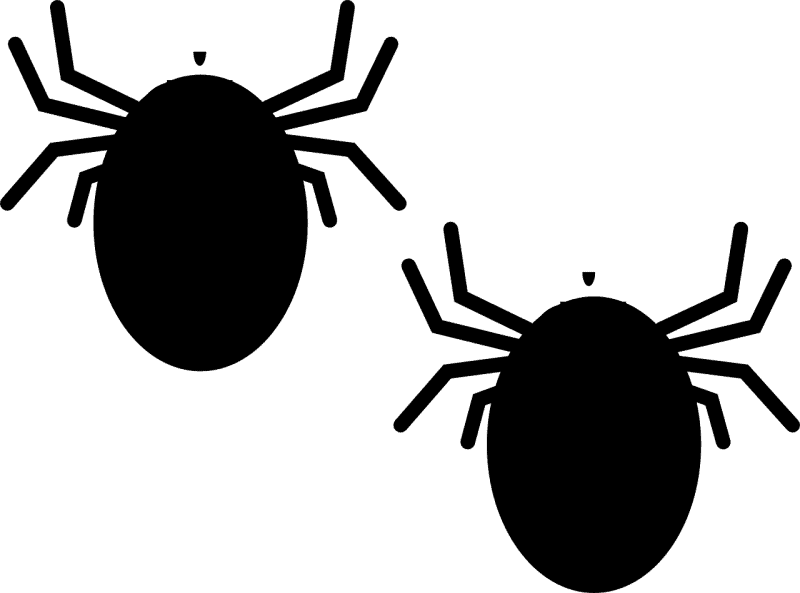 זוחלים 