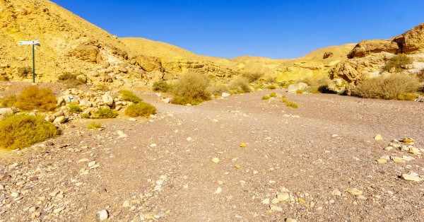 טיול לכל המשפחה בנחל צאלים: טיפים ועצות ממטיילים מנוסים
